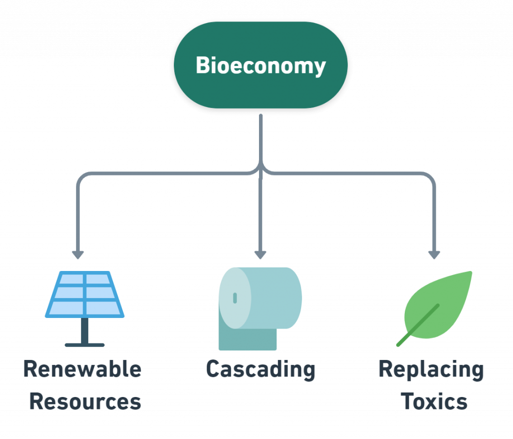 business models bio-economy examples